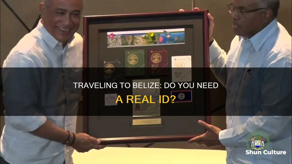 do I need a rael id to fly to belize