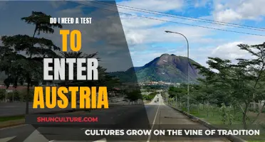 Traveling to Austria: COVID Testing Requirements and Entry Rules