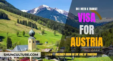 Transit Visa Requirements: Austria and Your Stopover