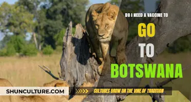 Traveling to Botswana: Vaccine Requirements and Essential Health Tips