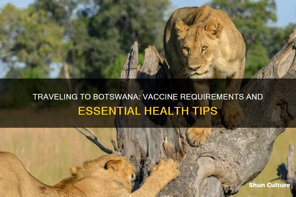 do I need a vaccine to go to botswana