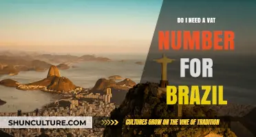 Do I Need a VAT Number for Brazil? Essential Tax Insights