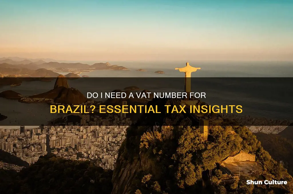 do I need a vat number for brazil