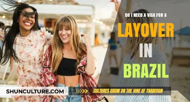 Layover in Brazil: Visa Requirements and Travel Tips Explained