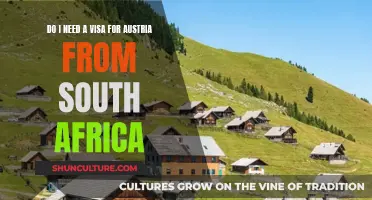 Visa Requirements: South Africans Visiting Austria