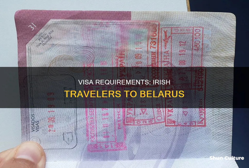 do I need a visa for belarus from ireland