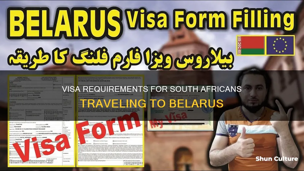 do I need a visa for belarus from south africa