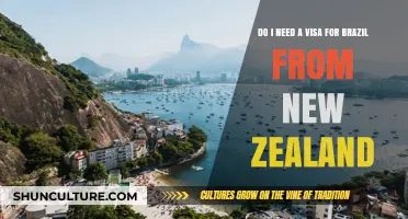 New Zealand to Brazil: Visa Requirements Explained for Travelers