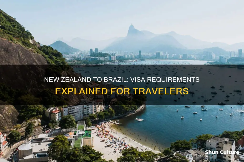 do I need a visa for brazil from new zealand