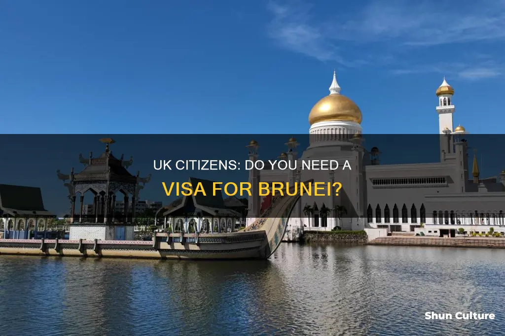 do I need a visa for brunei from uk