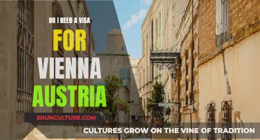 Visa Requirements for Vienna, Austria: What You Need to Know