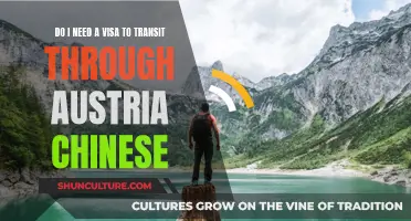 Chinese Transit Visas: Do I Need One for Austria?