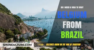 Visa Requirements for Brazilians Traveling to Belgium: What You Need to Know