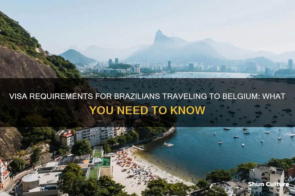 do I need a visa to visit belgium from brazil