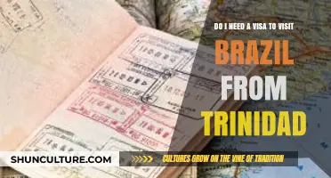 Trinidad to Brazil: Visa Requirements for Your Brazilian Adventure