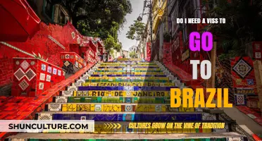 Do I Need a Visa to Visit Brazil? A Travel Guide