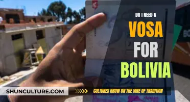 Visa Requirements for Bolivia: Do I Need a VISA?