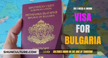 Navigating Employment in Bulgaria: Work Visa Requirements Unveiled