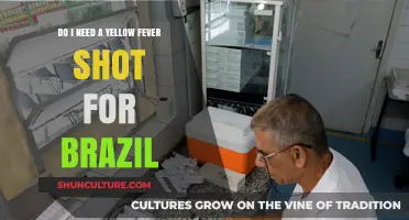 Traveling to Brazil? Check If You Need a Yellow Fever Shot