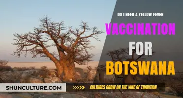 Yellow Fever Vaccination for Botswana: Essential Travel Health Guide