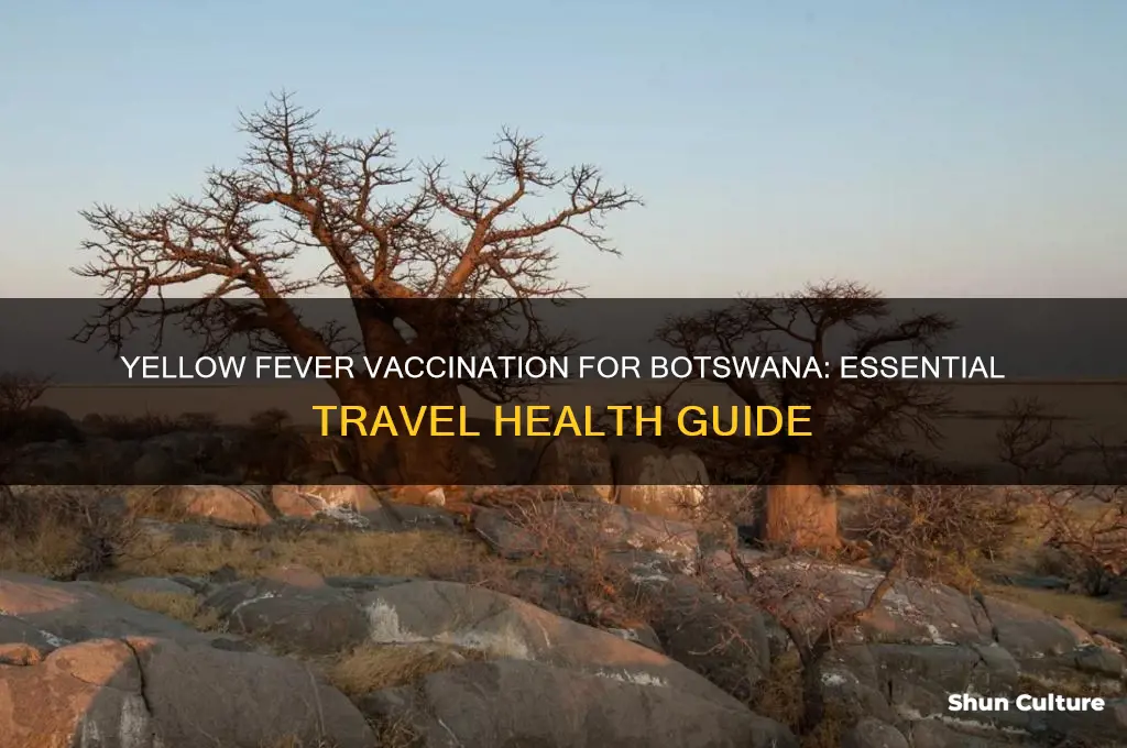 do I need a yellow fever vaccination for botswana
