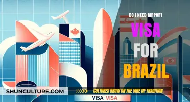 Do I Need an Airport Visa for Brazil? A Quick Guide