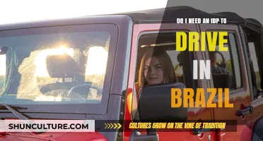Driving in Brazil: IDP Requirements and Essential Tips for Tourists