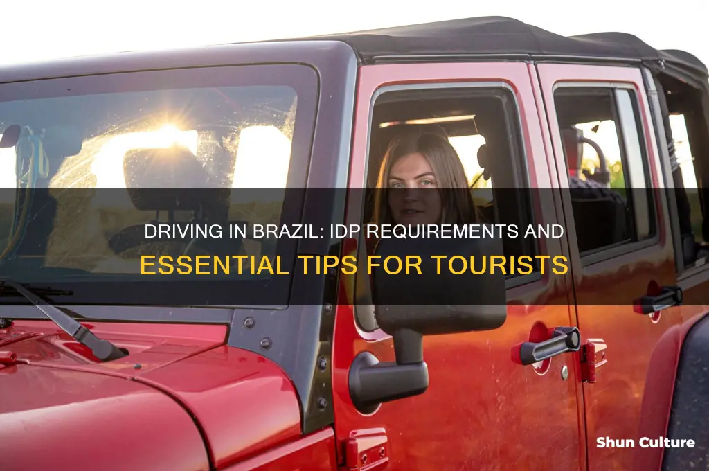 do I need an idp to drive in brazil