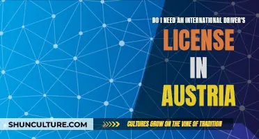 International Driver's License: Austria's Requirements and Rules