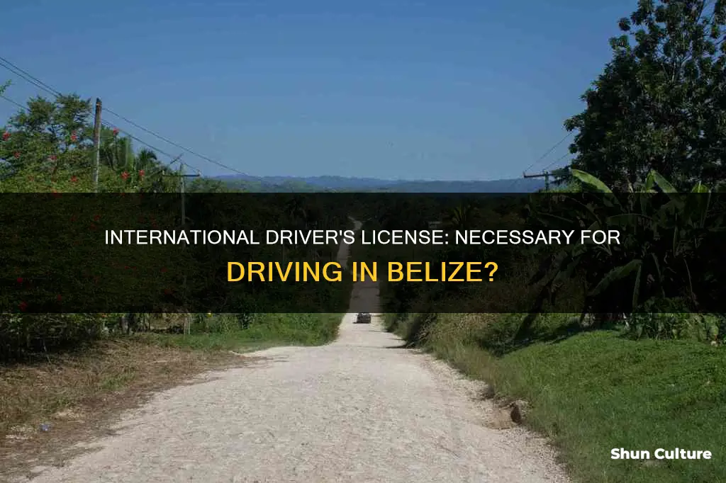 do I need an international driver