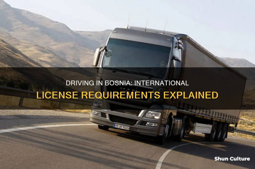 do I need an international driver