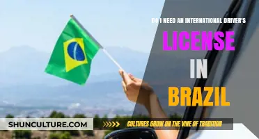Driving in Brazil: Do You Need an International Driver's License?