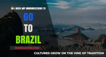 Traveling to Brazil: Essential Immunizations You Need Before Your Trip