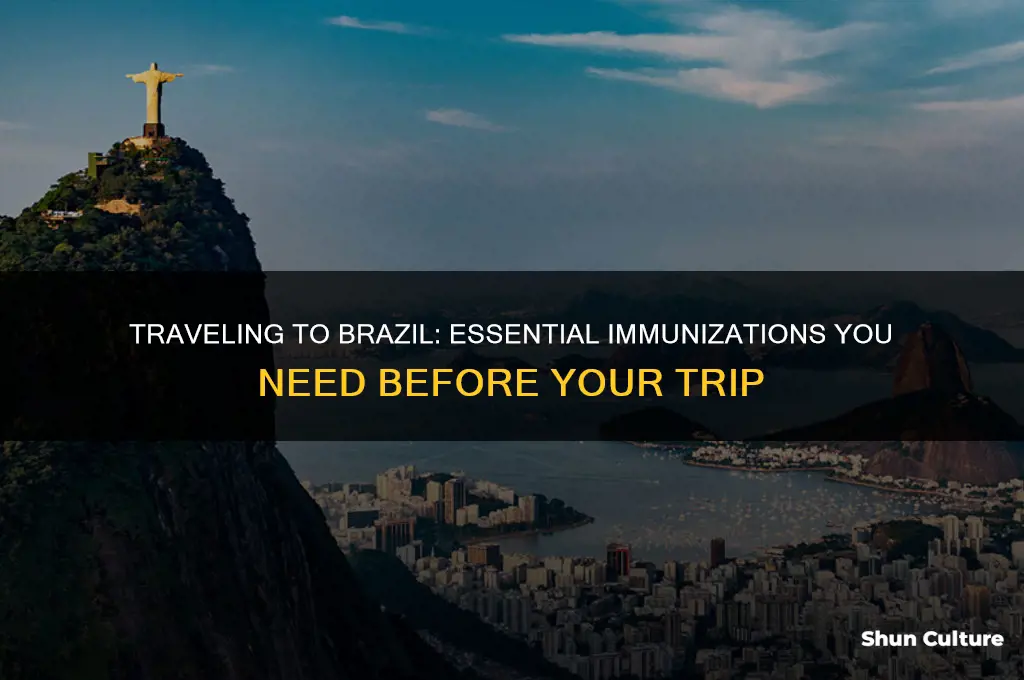 do I need any immunizations to go to brazil