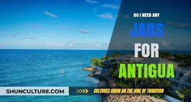 Traveling to Antigua: Essential Vaccinations and Health Tips for Visitors