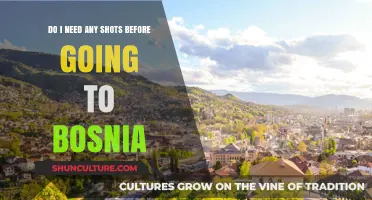 Traveling to Bosnia: Essential Vaccinations and Health Tips for Visitors