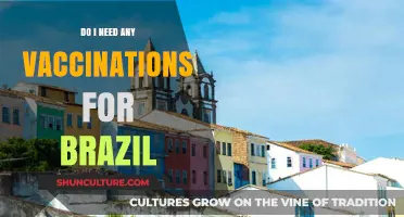Traveling to Brazil? Essential Vaccination Guide for a Safe Trip