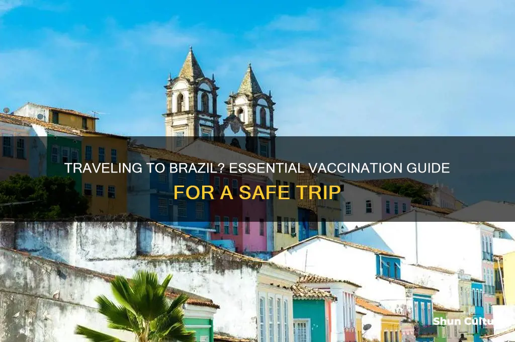 do I need any vaccinations for brazil