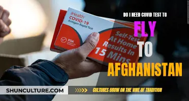 COVID-19 Testing Requirements for Air Travel to Afghanistan: What You Need to Know