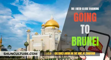 International Travel: Roaming in Brunei, Do I Need It?