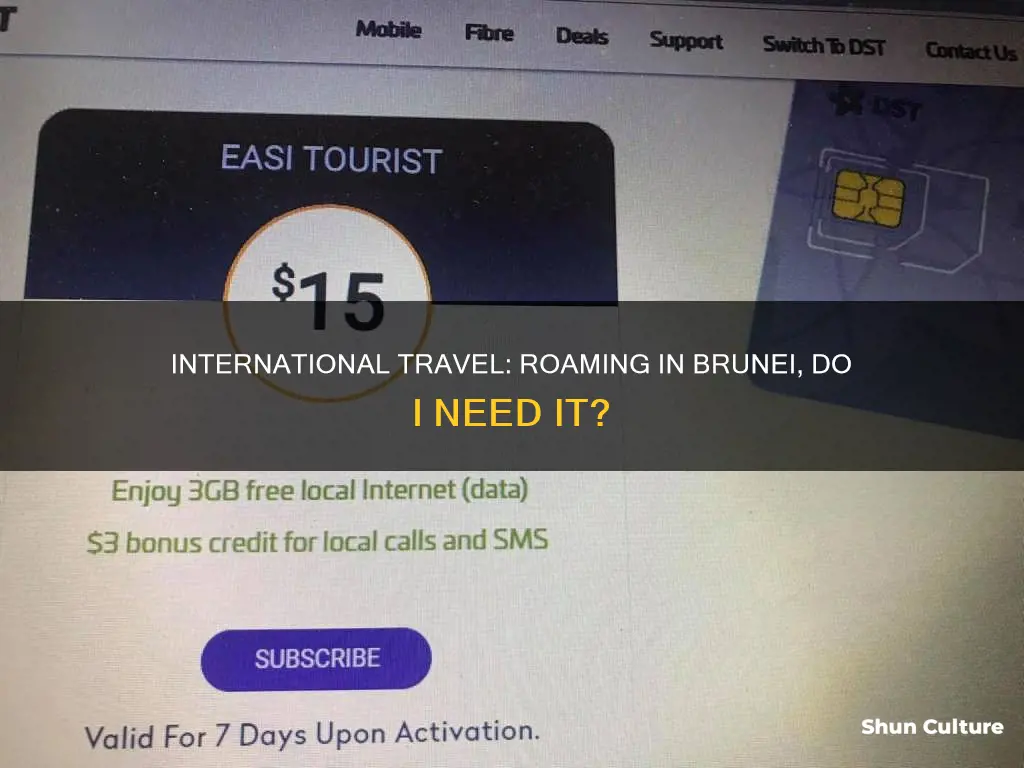 do I need globe roaming going to brunei