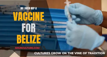 Hep A Vaccine: Essential for Belize Travel?