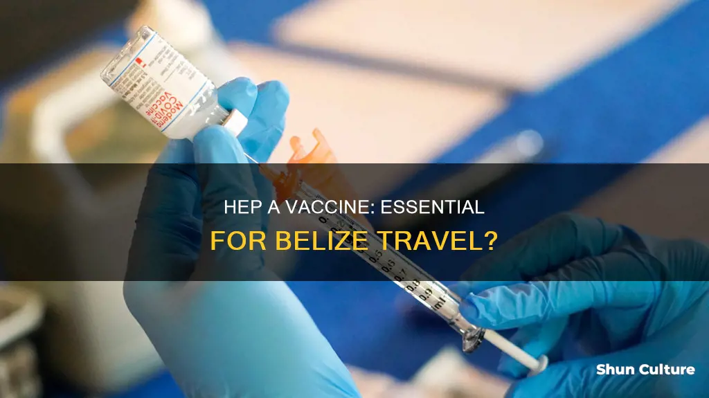 do I need hep a vaccine for belize