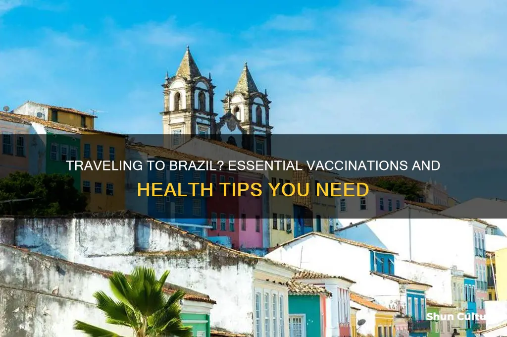 do I need jabs for brazil