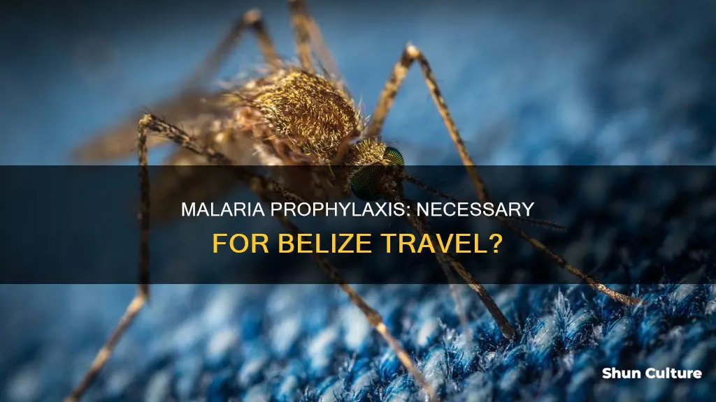 do I need malaria prophylaxis for belize