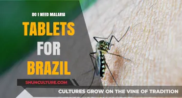 Malaria Tablets for Brazil: Essential Travel Health Advice