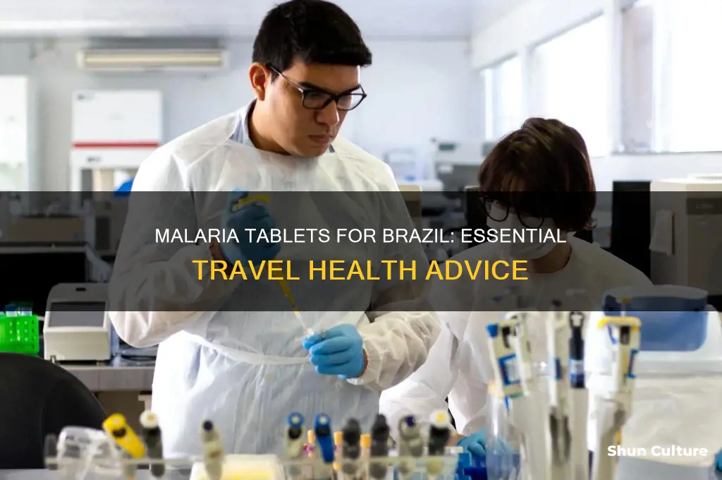 do I need malaria tablets for brazil