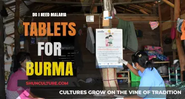 Exploring Myanmar: Malaria Prevention Tips for Travelers