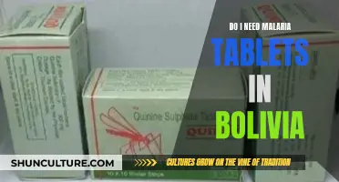 Malaria Tablets: Are They Necessary for Bolivia Travel?