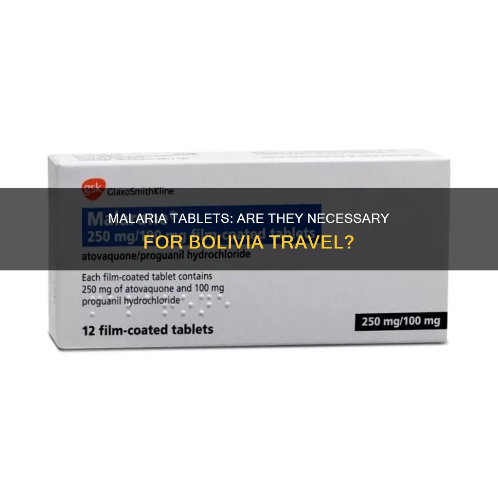 do I need malaria tablets in bolivia